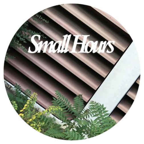 Various Artists Small Hours 005 (Vinyl LP) 12" EP