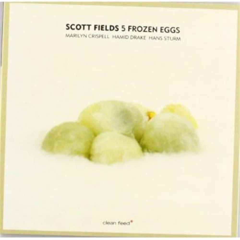 5 Frozen Eggs - Scott Fields (Audio cd)