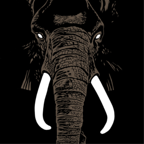 Palm Unit Don't Buy Ivory Anymore! (Vinyl LP)