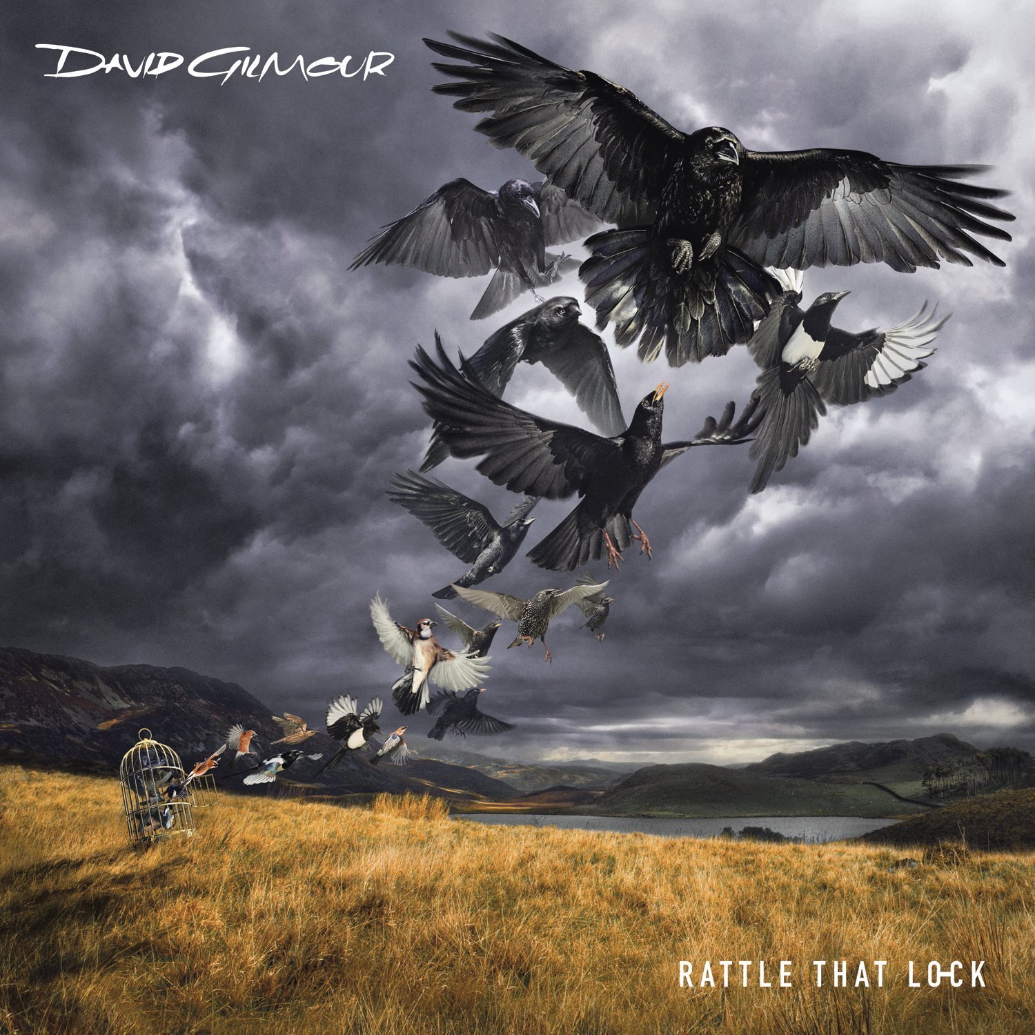 Audio Cd David Gilmour - Rattle That Lock
