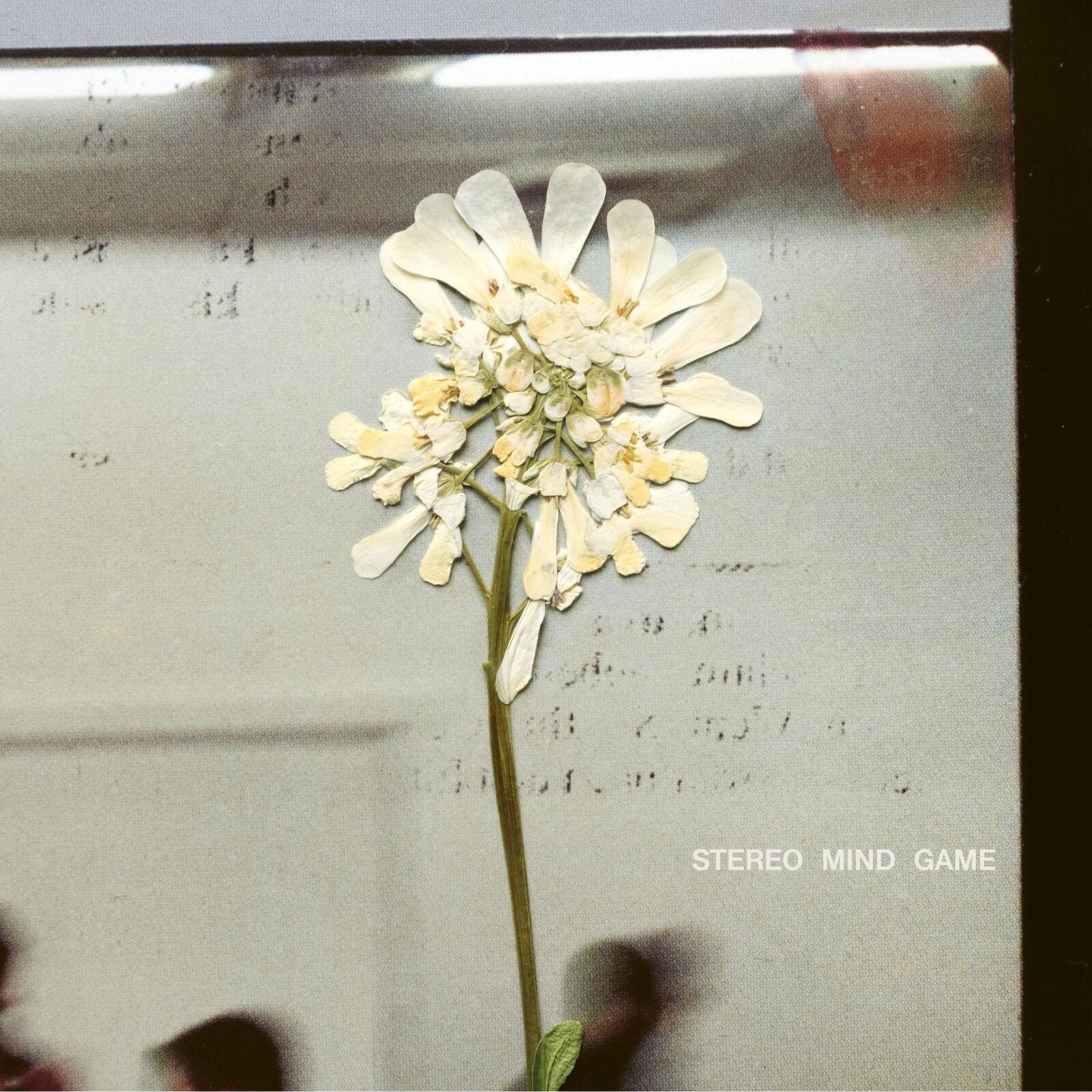 Daughter Stereo Mind Game (Cassette)