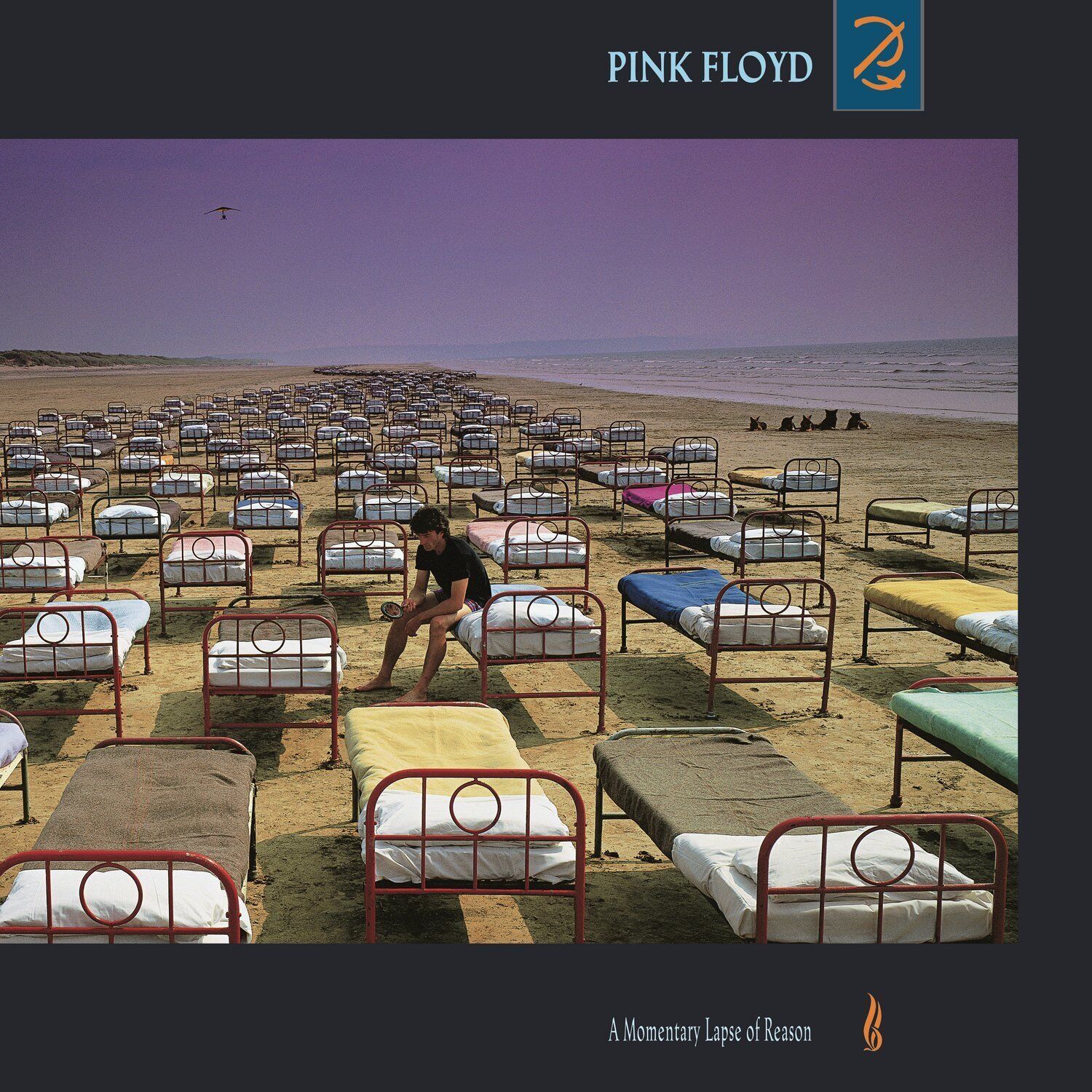 Vinile Pink Floyd - Momentary Lapse Of Reason