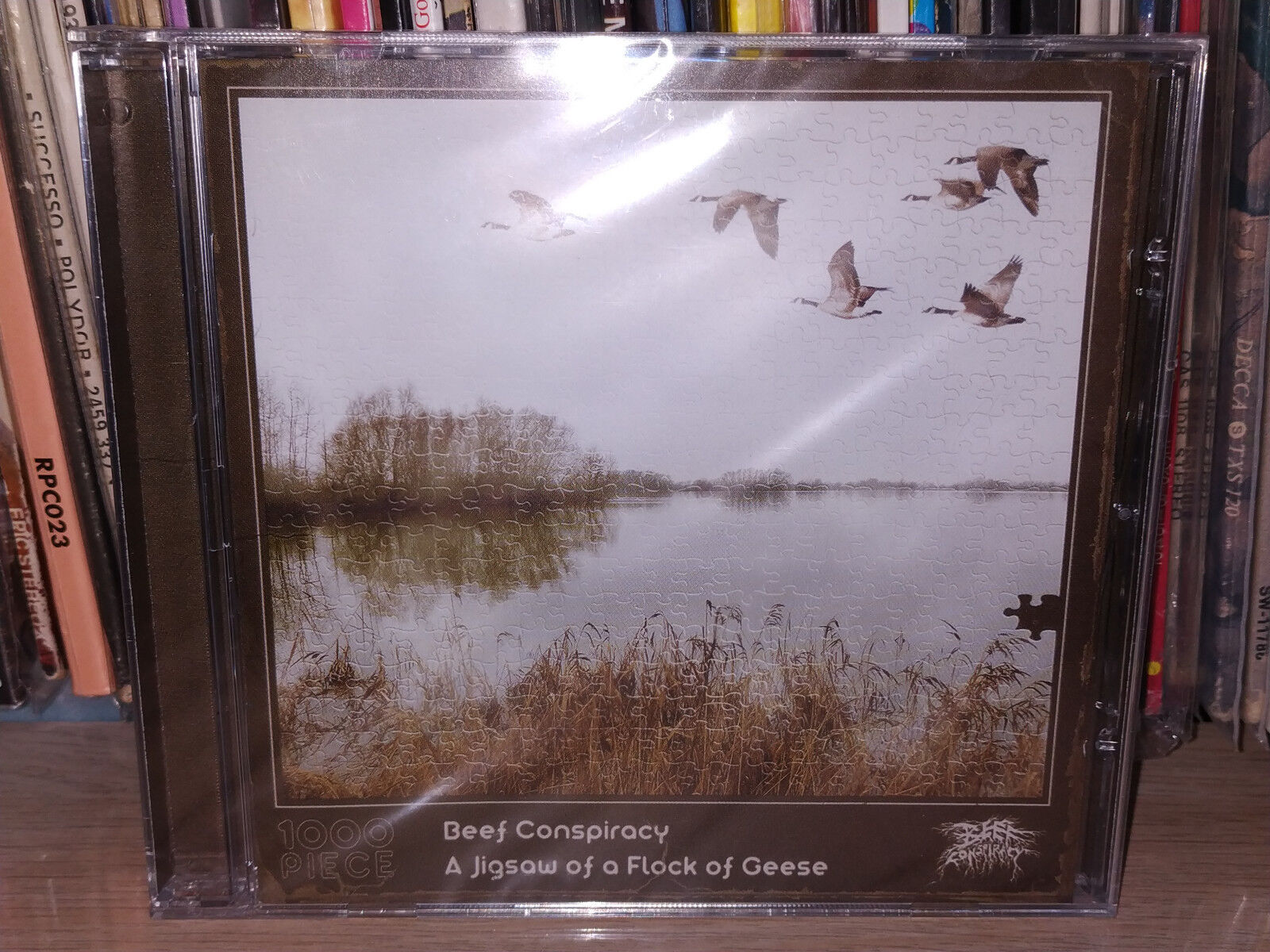 CD BEEF CONSPIRACY - A JIGSAW OF A FLOCK OF GEESE