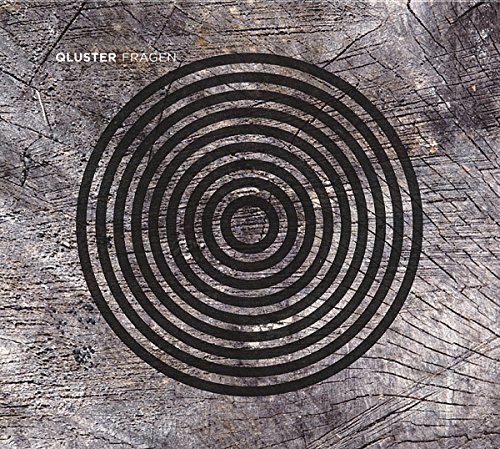 Qluster Fragen (Vinyl LP)
