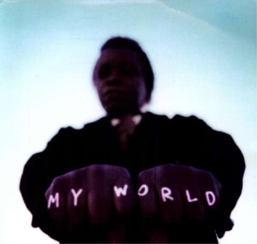 Lee Fields My World (Vinyl LP) 12" Album