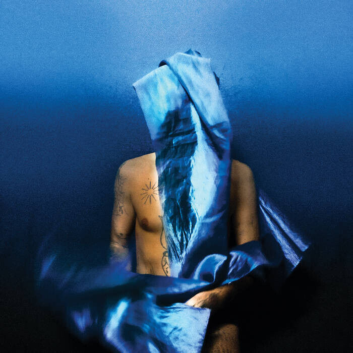 Flying Wig (Cd)