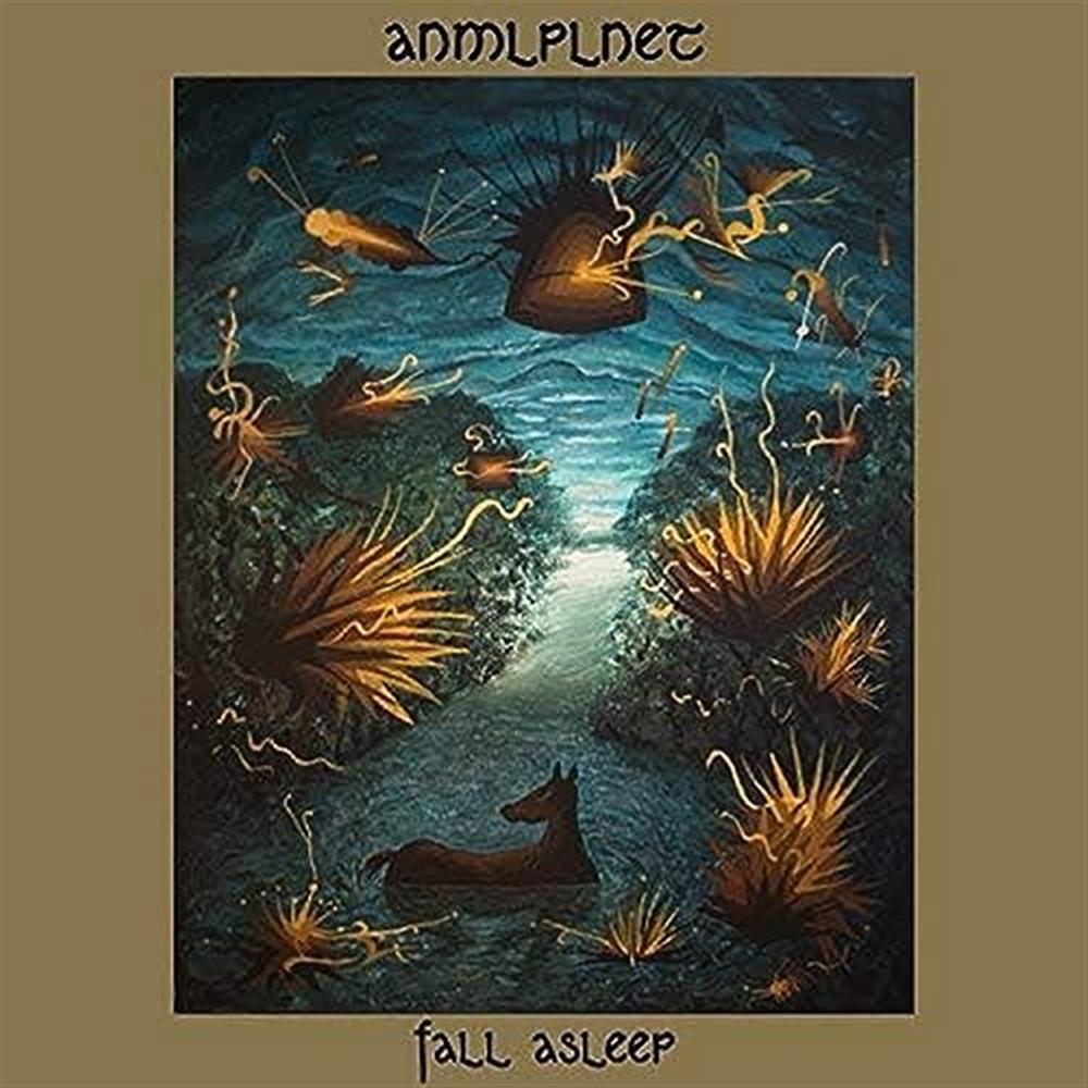 Fall Asleep - Anmlplnet (Vinile)