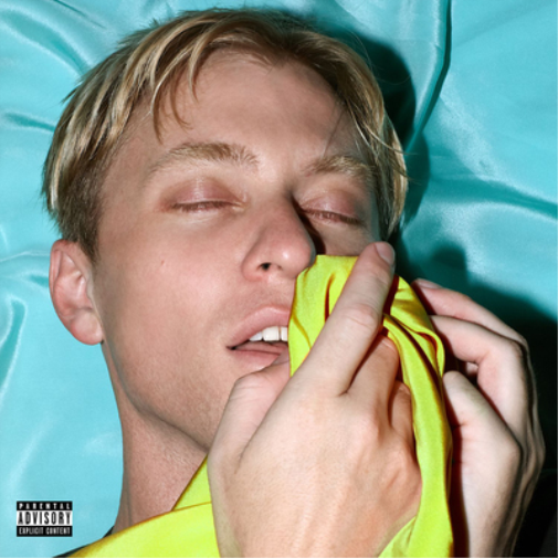 The Drums Brutalism (CD) Album