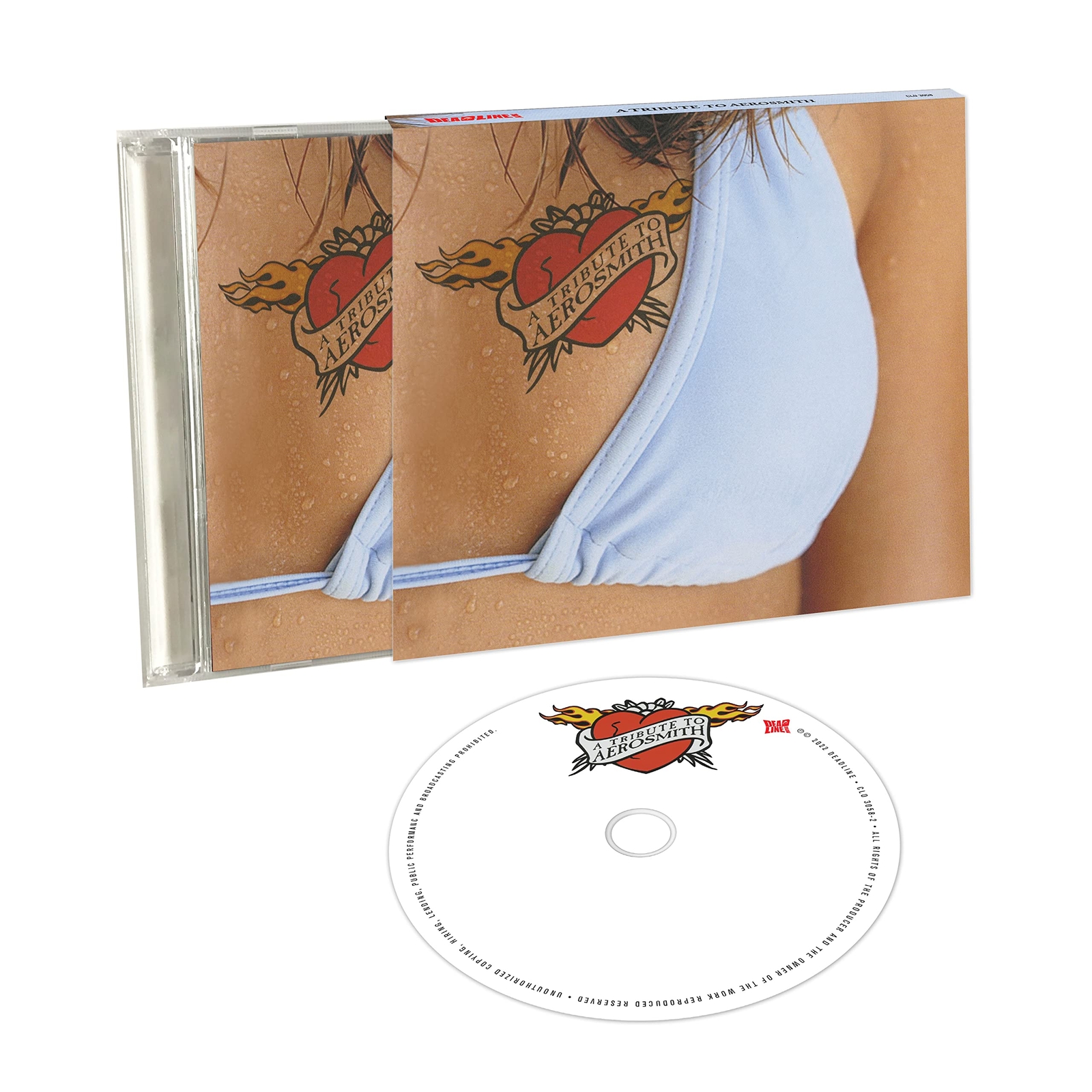 Various Tribute To Aerosmith (CD)