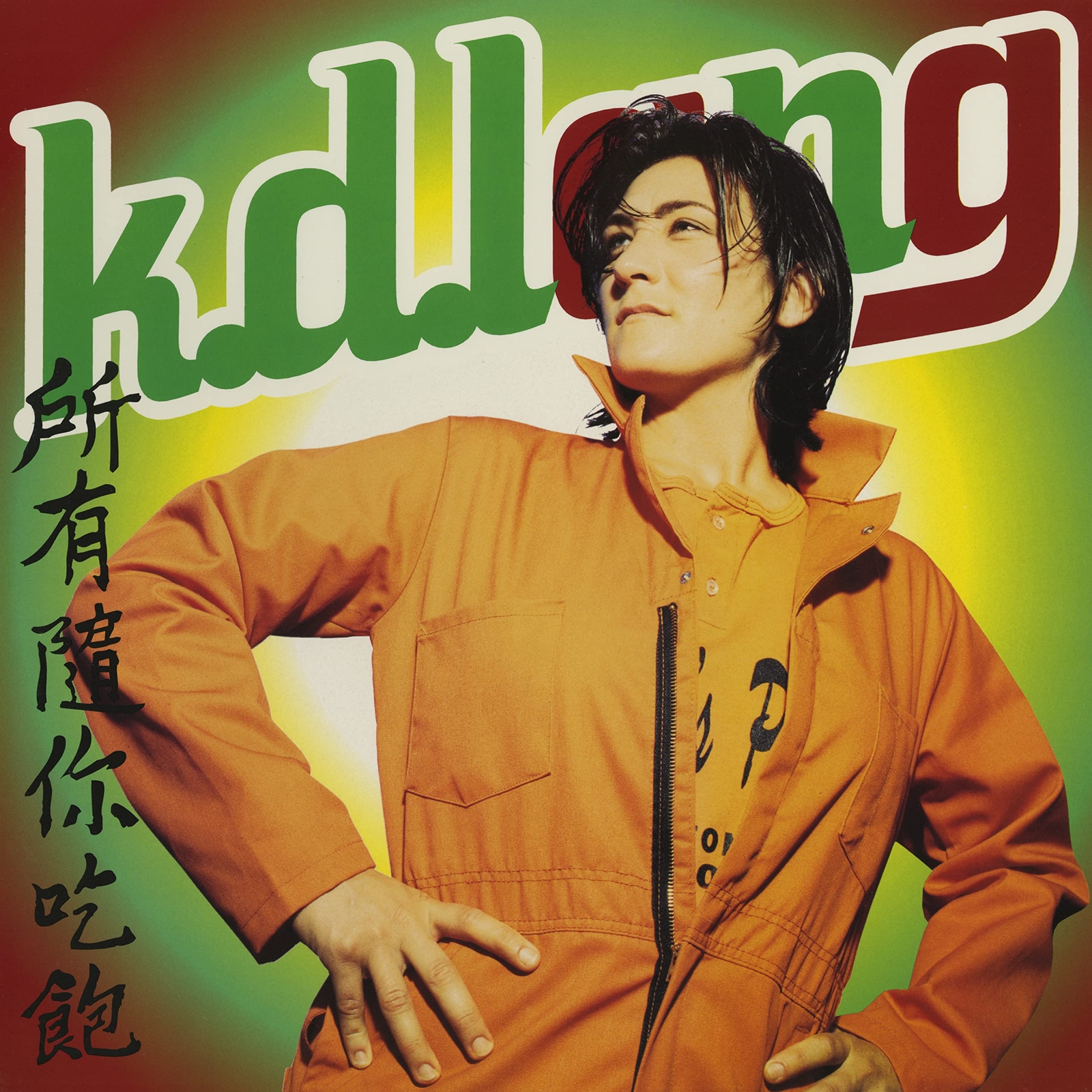 K. D. Lang All You Can Eat (Vinyl LP)