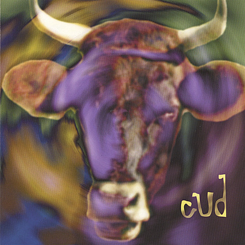 7024782 Audio Cd Ben Band Swift - Cud