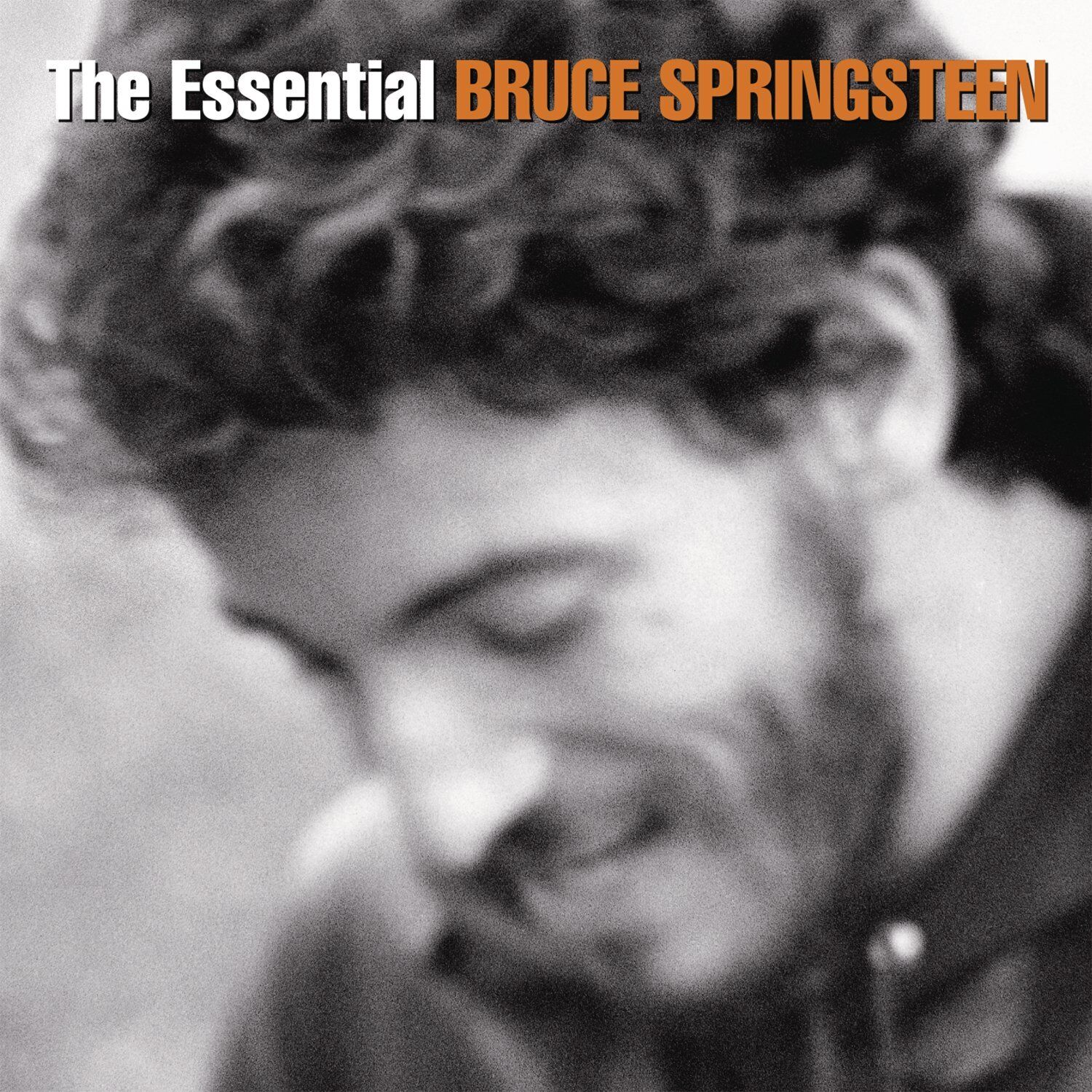 Springsteen Bruce Essential Bruce Springsteen (CD)
