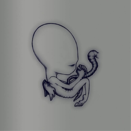 Sigur Rós Ágætis Byrjun (CD) 20th Anniversary  Box Set