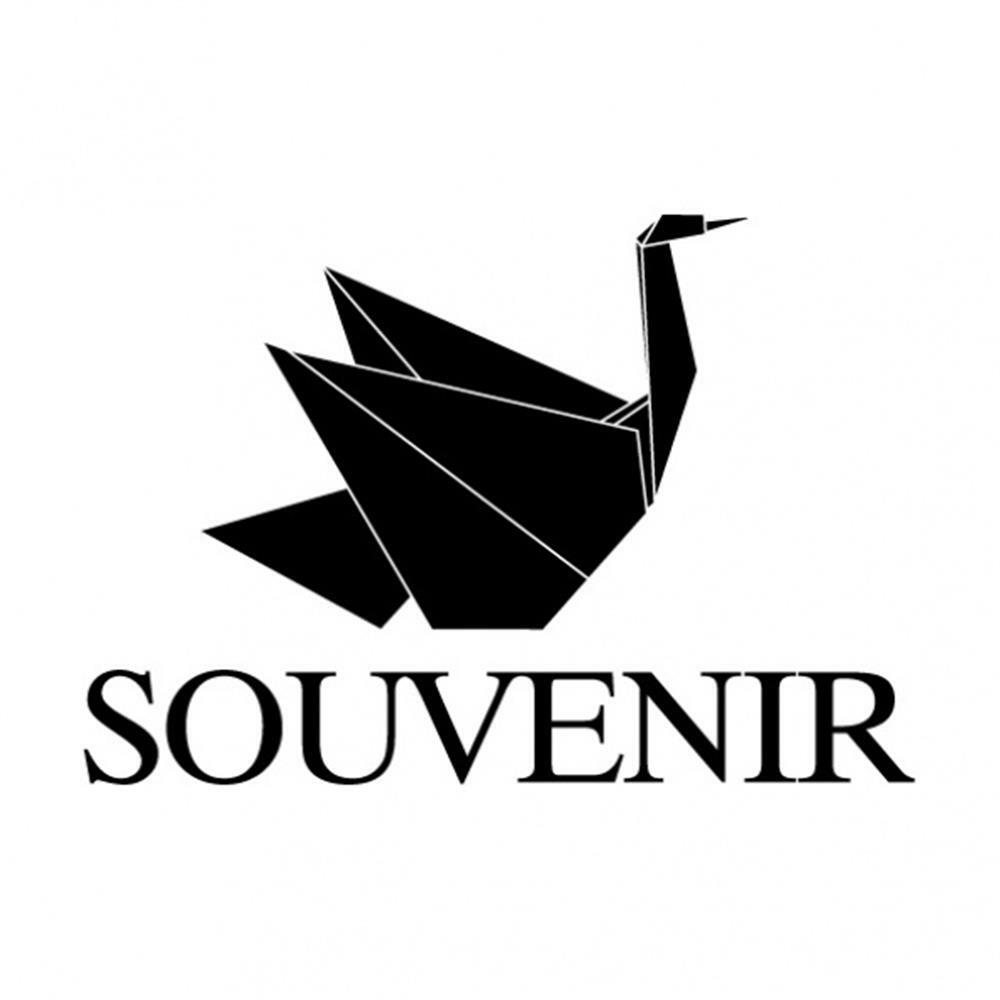 Souvenir Remixes / Various - AA.VV. (Vinile)