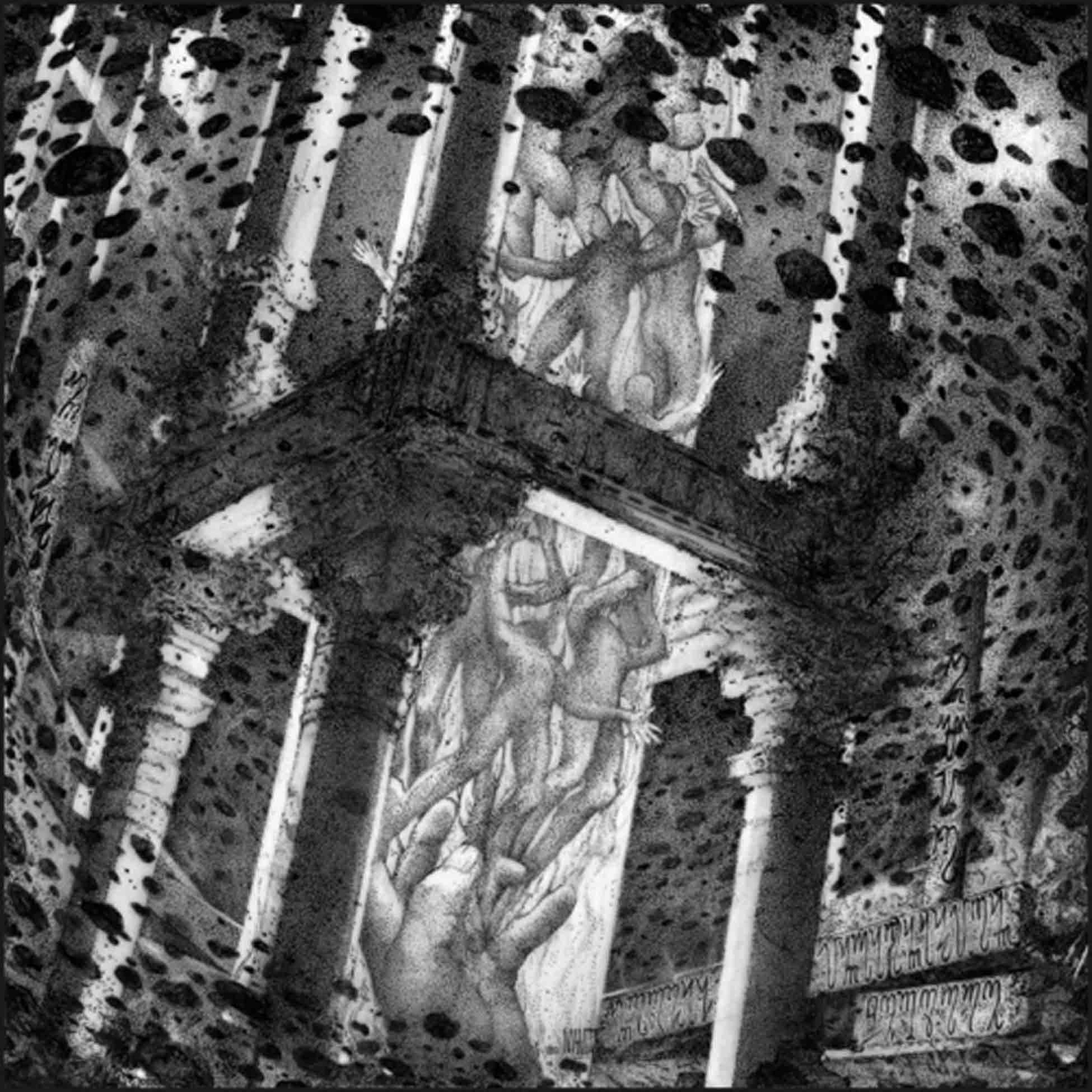 Bedsore / Mortal Incarnation Split (Vinyl LP)
