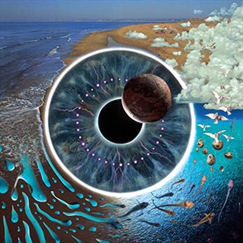 Pink Floyd Pulse (CD)