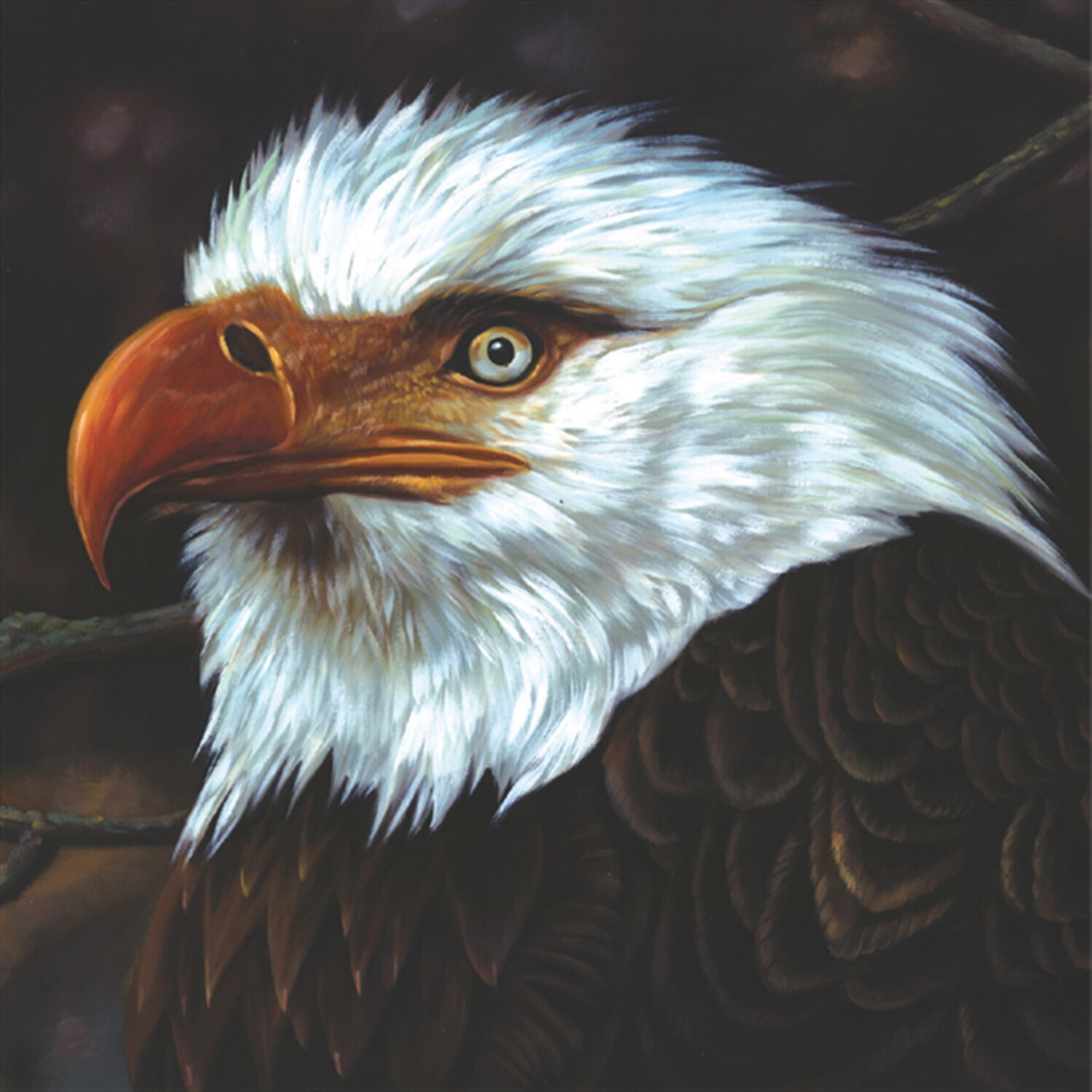 Mogwai The Hawk Is Howling (Vinyl LP) 12" Album Coloured Vinyl (Limited Edition)