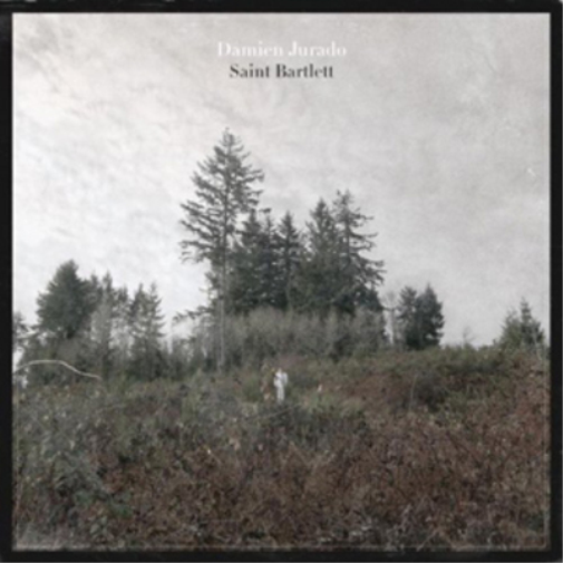 Damien Jurado Saint Bartlett (Vinyl LP) 12" Album