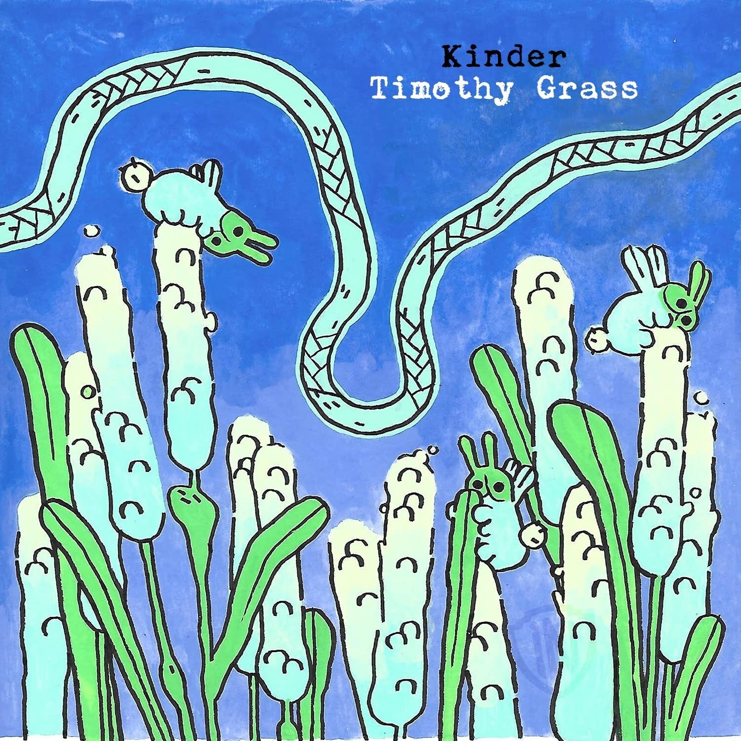 Kinder Timothy Grass (Cassette)