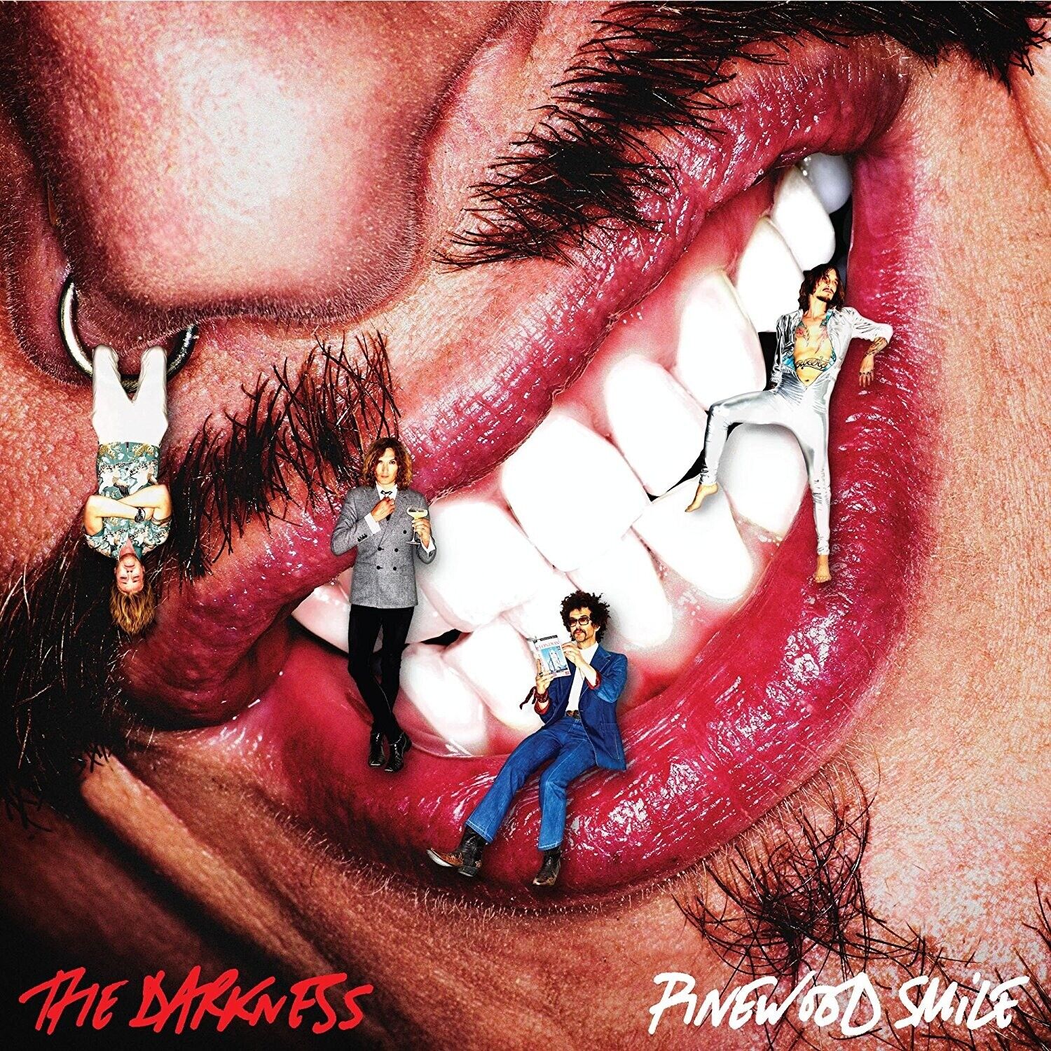 Darkness - Pinewood Smile - Cd