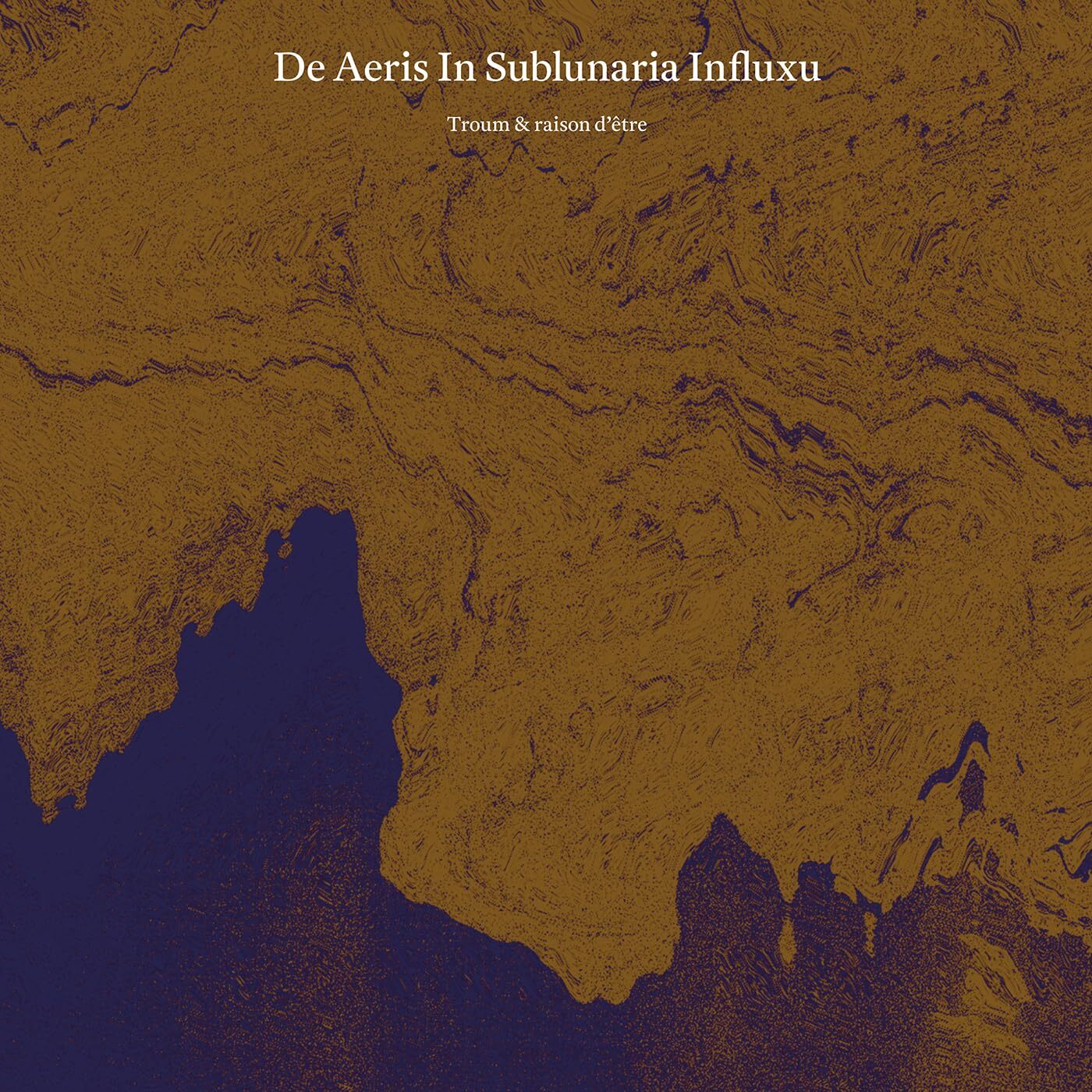 Troum & Raison Detre De Aeris In Sublunaria Influxu (Vinyl LP)