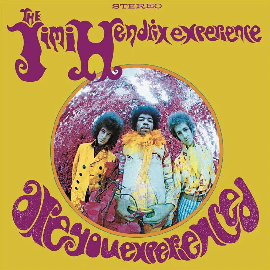 The Jimi Hendrix Experience Are You Experienced (Vinyl LP) 12" Album