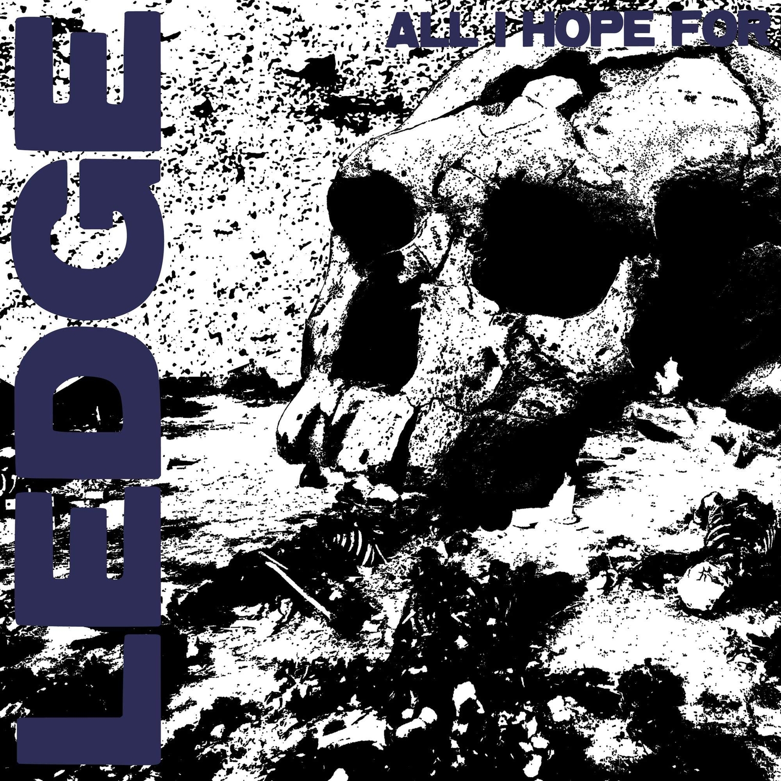 The Ledge All I Hope For (Vinyl LP)