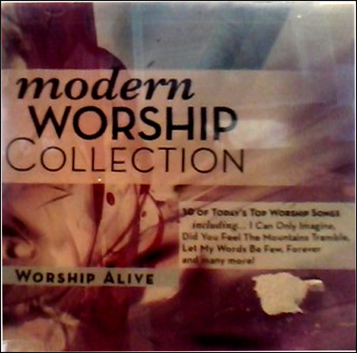 Modern Worship Collection: Worship Alive: vol.3 (CD)