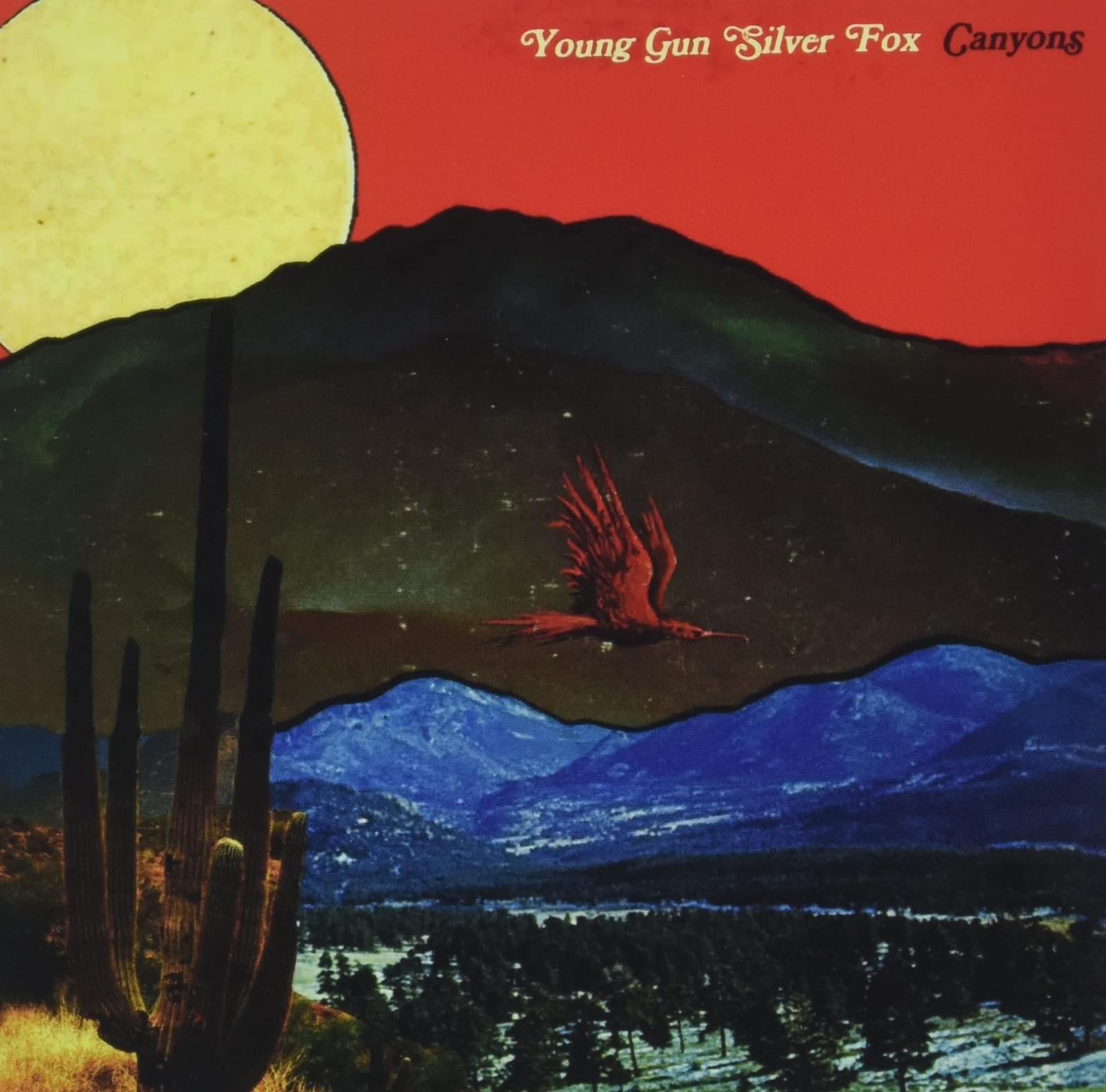 Young Gun Silver Fox Canyons (CD)