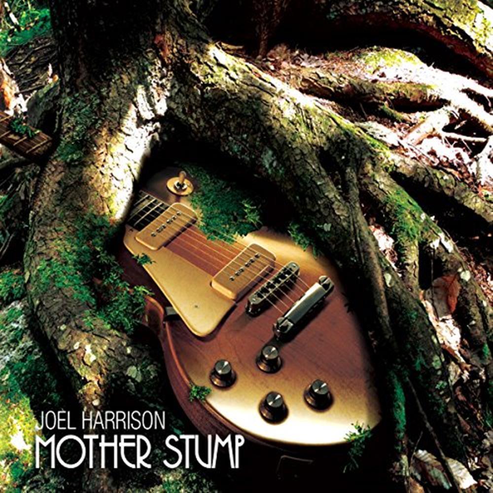 Mother Stump - Joel Harrison (Audio cd)