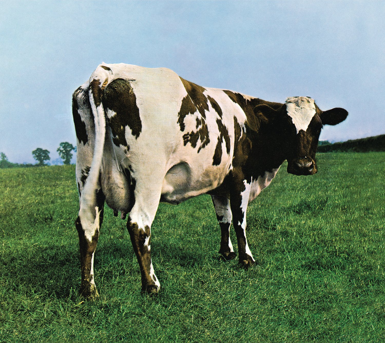Pink Floyd Atom Heart Mother (CD)