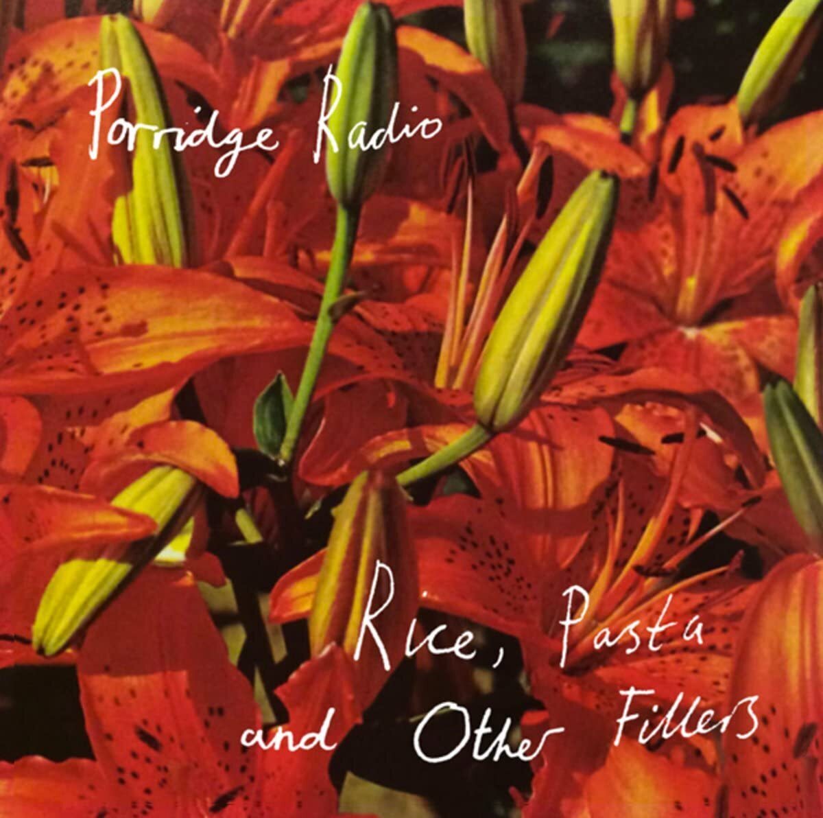 Porridge Radio Rice, Pasta and Other Fillers (CD) Limited  Album