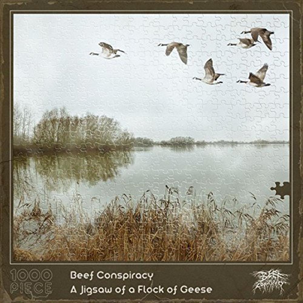 A Jigsaw Of A Flock Of Geese - Beef Conspiracy (Audio CD)