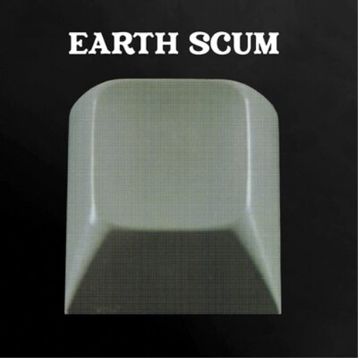 FYI Chris Earth Scum (Vinyl LP) 12" Album (Clear vinyl)
