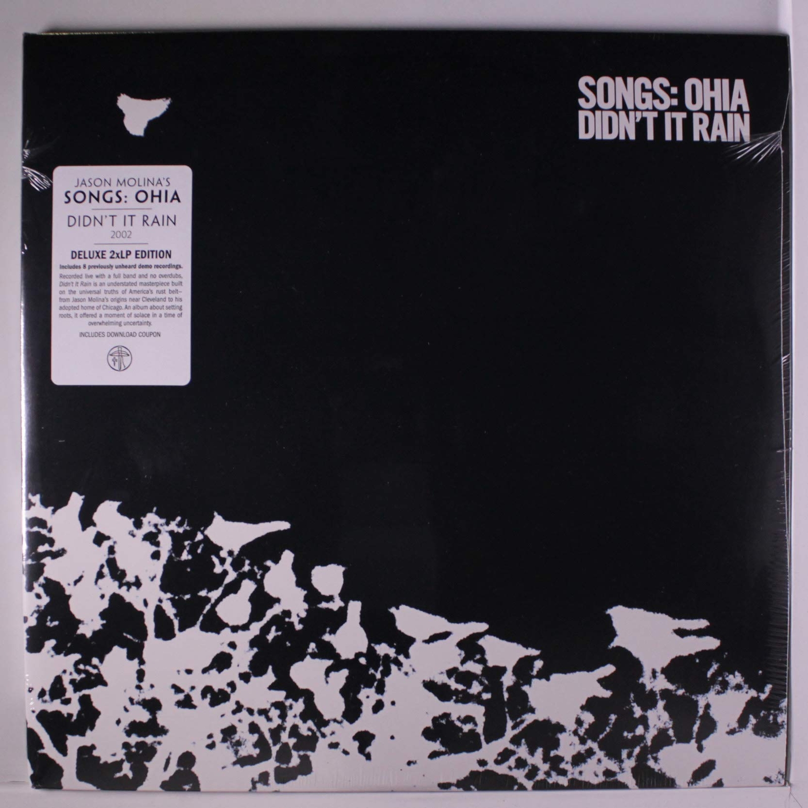 Songs: Ohia Didn'T It Rain (Vinyl LP)