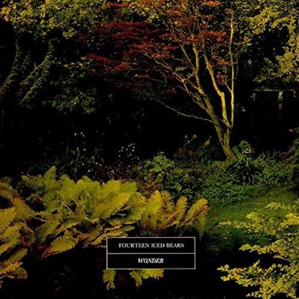 Wonder - Wonder (Vinile)