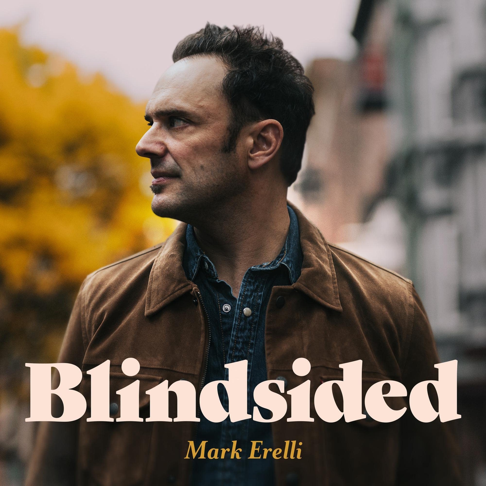 Mark Erelli Blindsided (Vinyl LP)