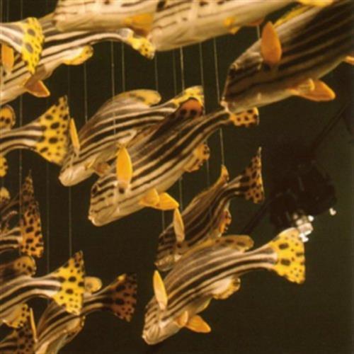 City Center - City Center (Audio CD)