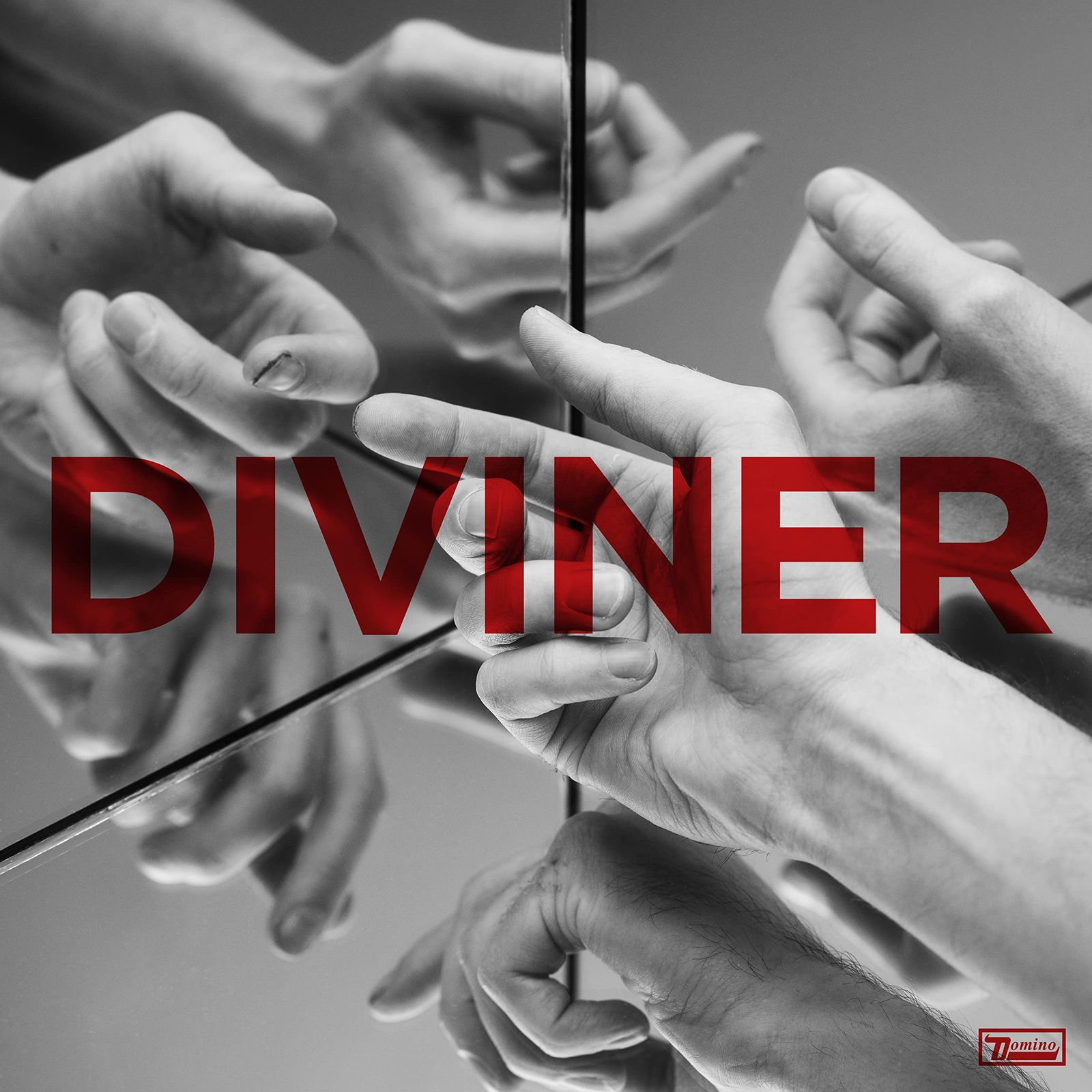 Wild Beasts Diviner (Jewel Case) (CD)