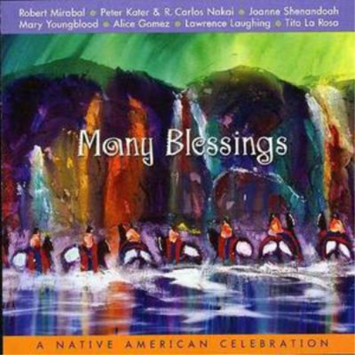 Various Artists Many Blessings: A Native American Celebration (CD) Album