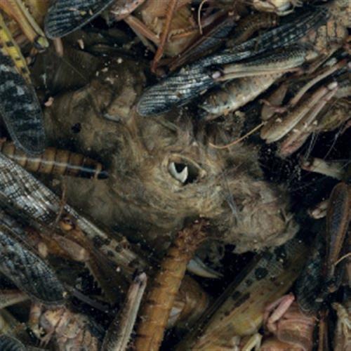 Manegarmr - Hessian (Audio CD)