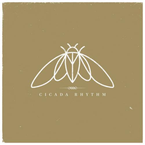 Cicada Rhythm Cicada Rhythm (Vinyl LP) 12" Album