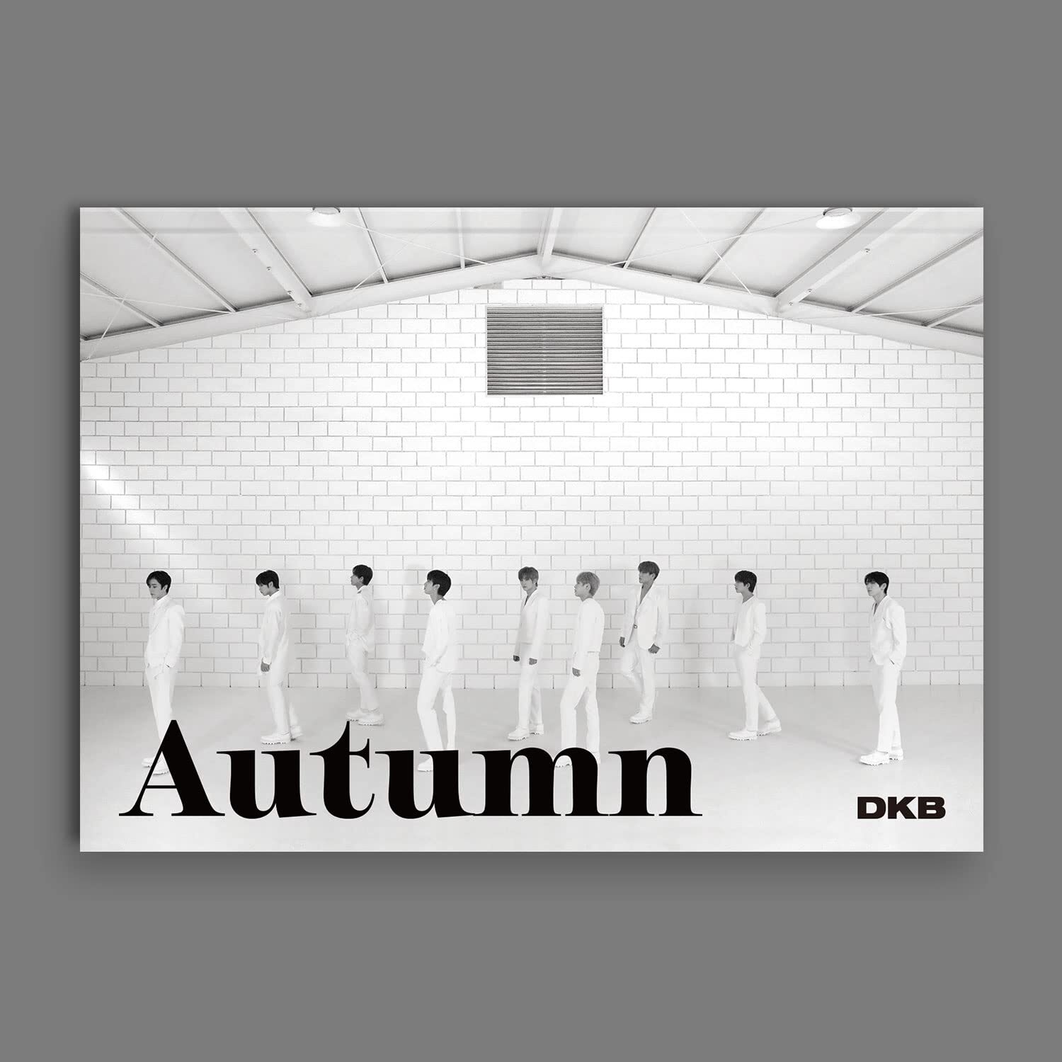 Dkb Autumn - incl. Photo Card, Polaroid Photo, Magnetic Card + Sticker (CD)