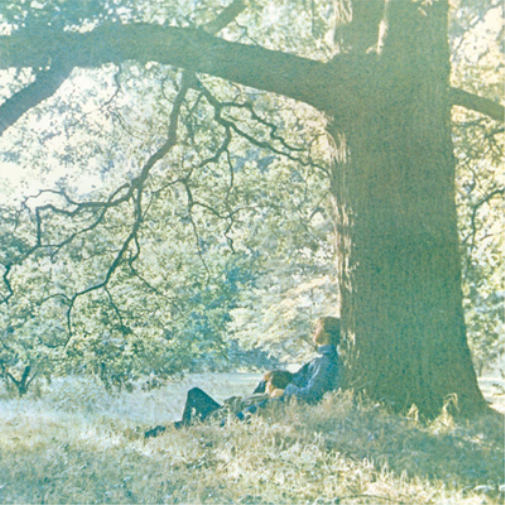 Yoko Ono Yoko Ono/Plastic Ono Band (Vinyl LP) 12" Album