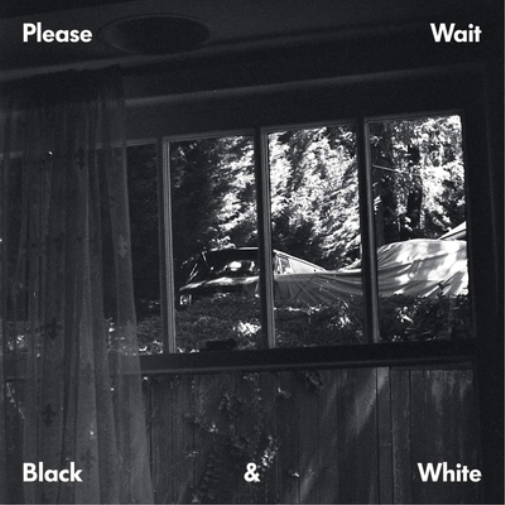 Please Wait Black & White (Vinyl LP) 12" EP