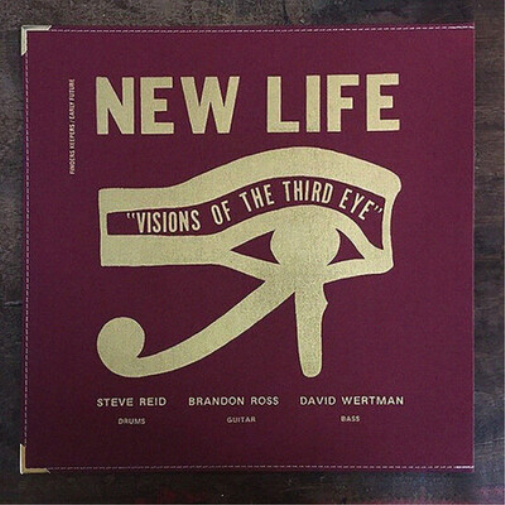 New Life Trio Visions of the Third Eye (Vinyl LP) 12" Album