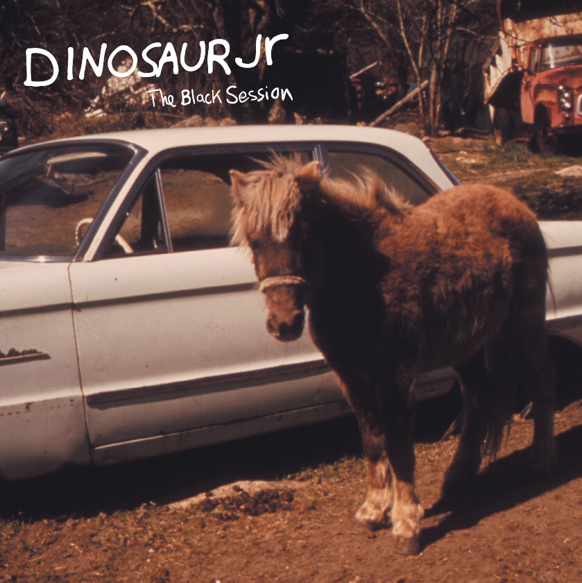 Dinosaur Jr. The Black Session: Live in Paris 1993 (Vinyl LP)