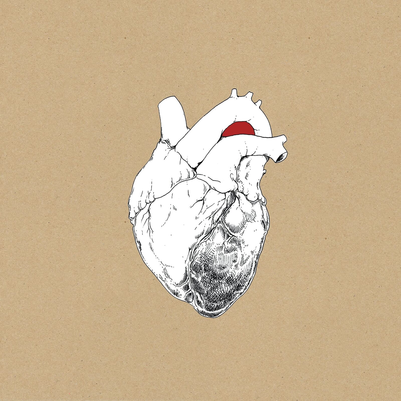 Swans The Beggar (Vinyl LP)