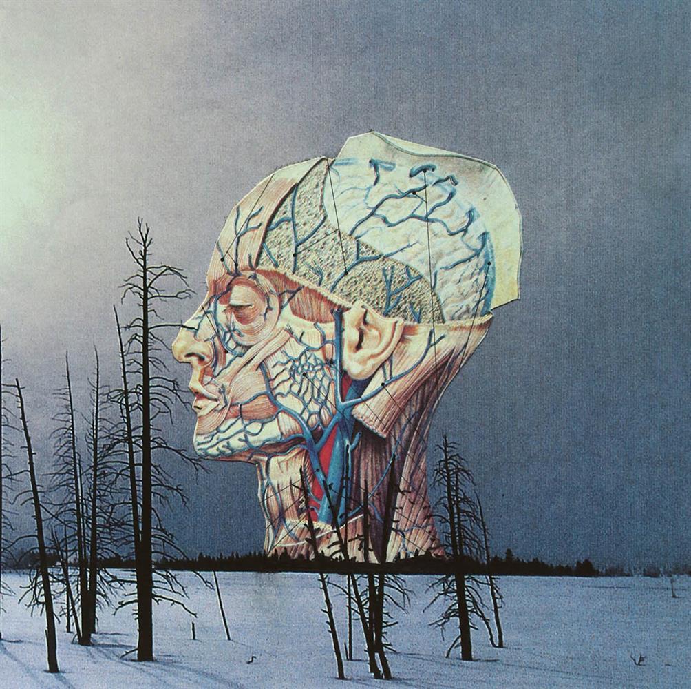 Songs For A Dead Pilot - Low (Vinile)