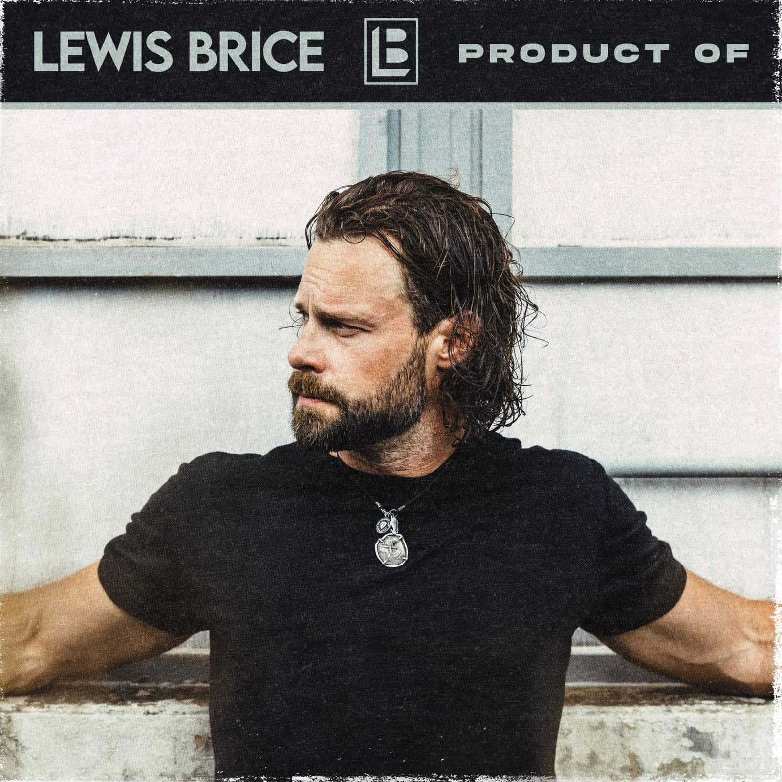 Lewis Brice Product Of (CD)